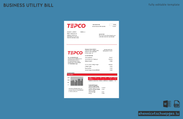 Beispielrechnung der Tokyo Electric Power Company (Japan) für Stromgeschäfte